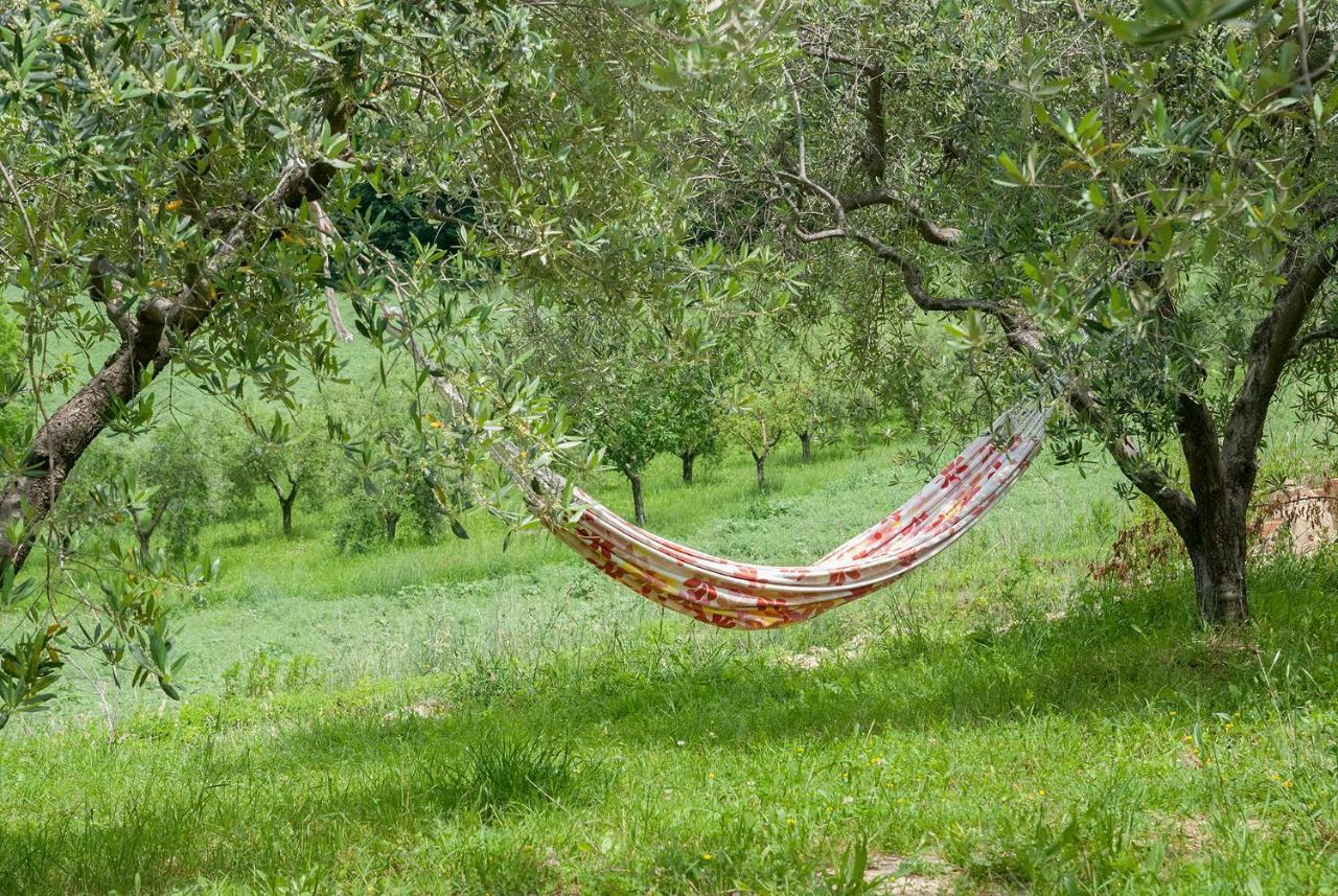 Biancopecora Βίλα Sant'Elpidio Morico Εξωτερικό φωτογραφία